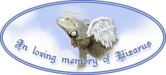zarblue-kellyanngoth.gif (22993 bytes)